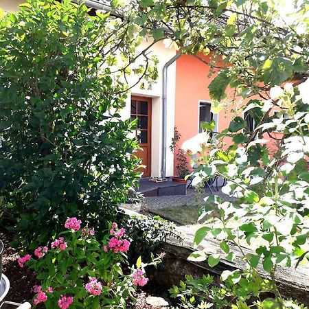 Ferienwohnung Adams Hinterweiler Kültér fotó