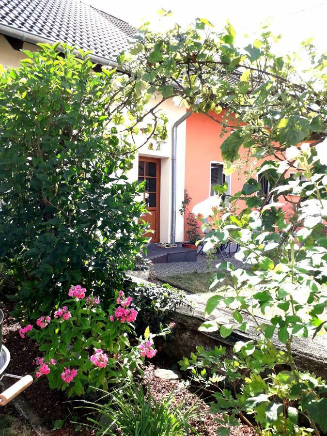 Ferienwohnung Adams Hinterweiler Kültér fotó